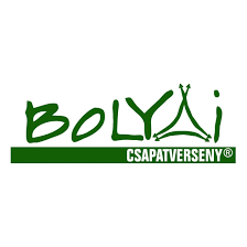 Bolyai Anyanyelvi Csapatverseny '23