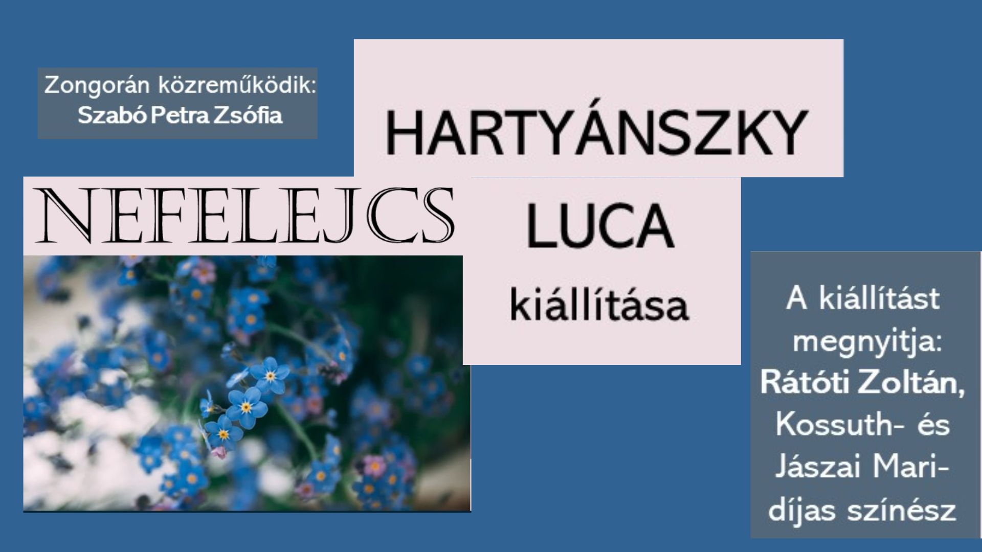 Nefelejcs - Hartyánszky Luca tanulónk kiállítása